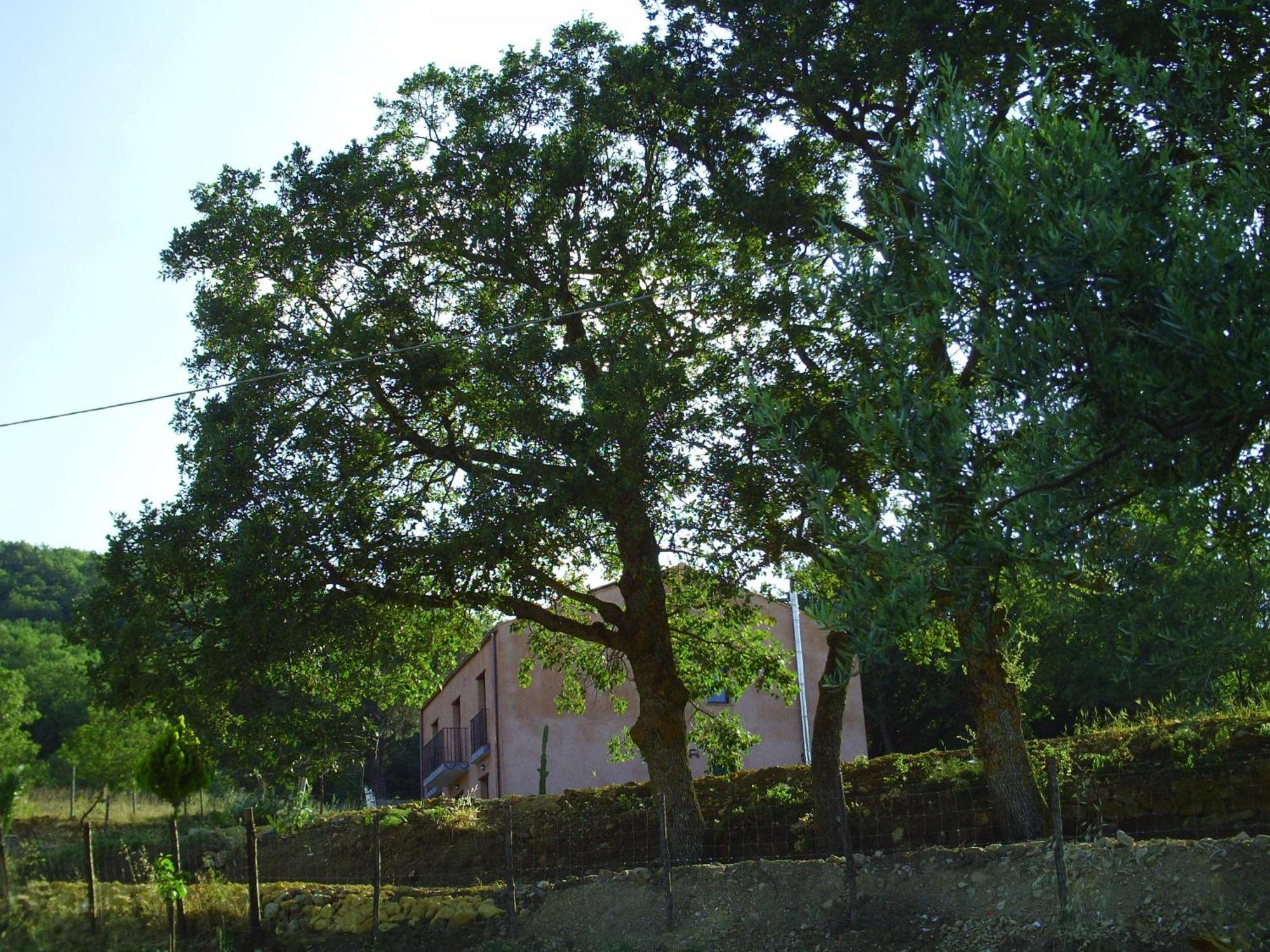 Agriturismo San Pietro ガンジ エクステリア 写真