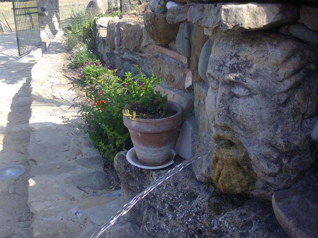 Agriturismo San Pietro ガンジ エクステリア 写真