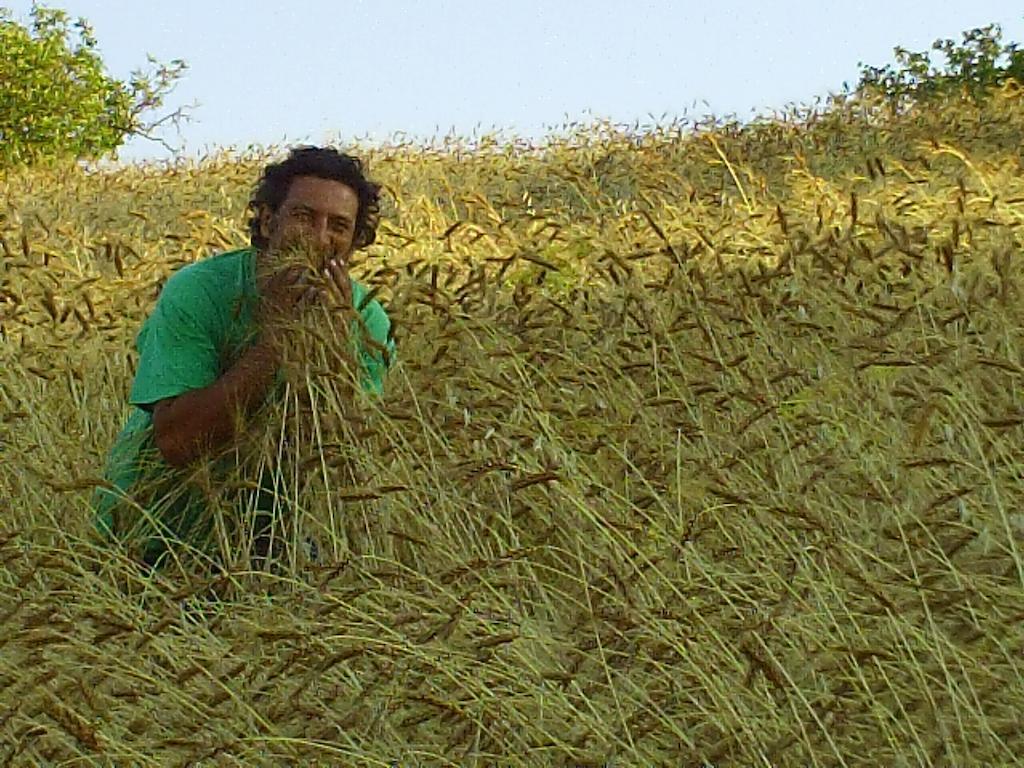 Agriturismo San Pietro ガンジ エクステリア 写真