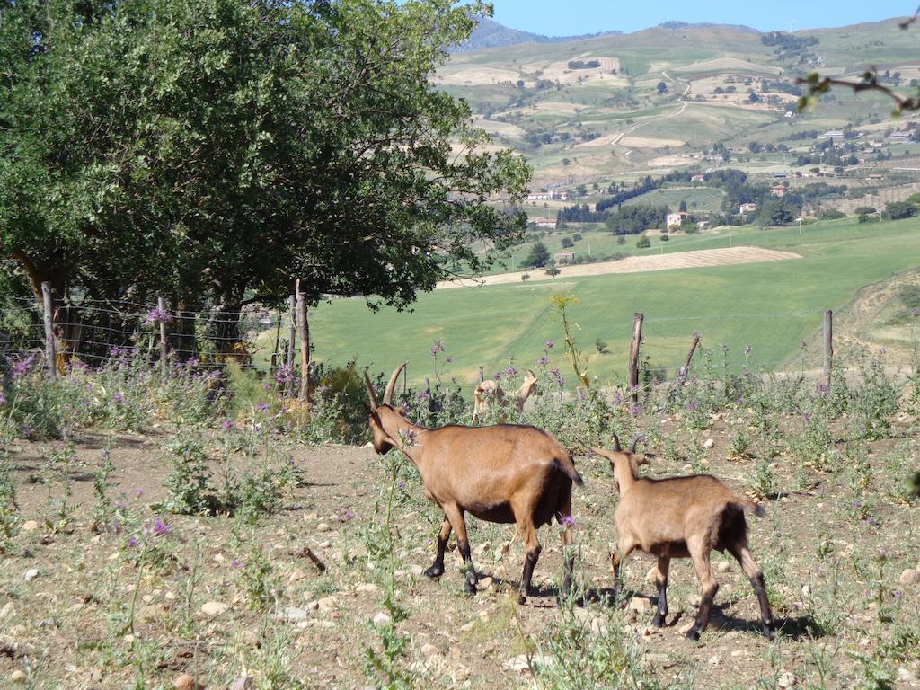 Agriturismo San Pietro ガンジ エクステリア 写真