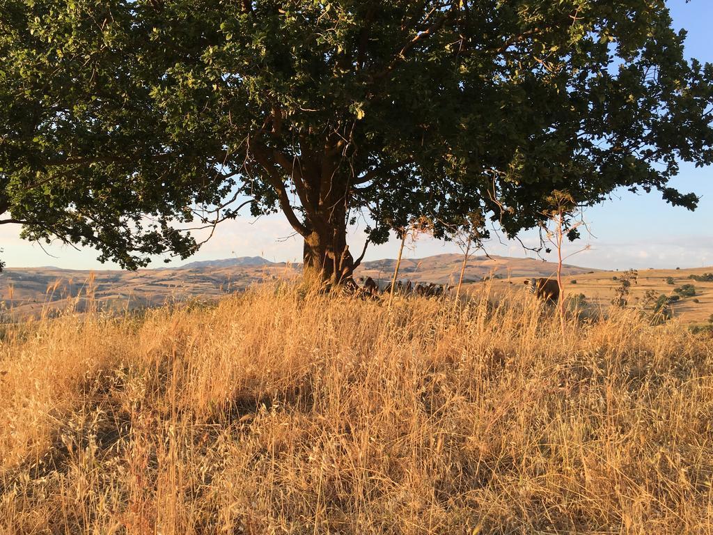 Agriturismo San Pietro ガンジ エクステリア 写真